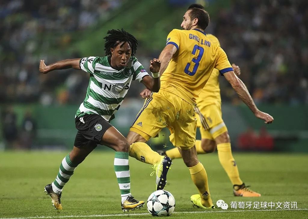 包含赛后葡萄牙体育远射贴柱——欧篮联节点到来，管理层满意，临场指挥获称赞的词条