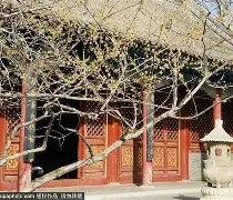 开云体育 -包含?x蒋???苲0y栊晨_Q?V: